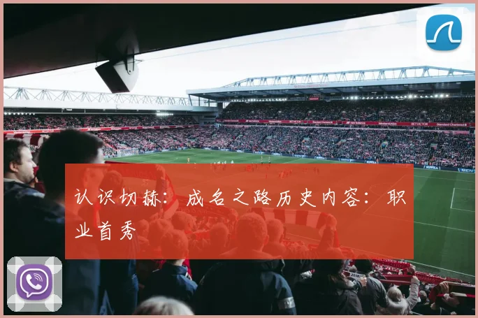 认识切赫:成名之路历史内容:职业首秀