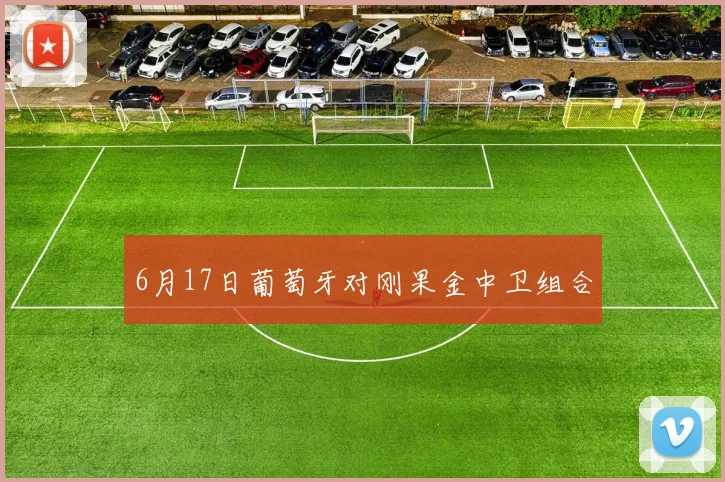 6月17日葡萄牙对刚果金中卫组合
